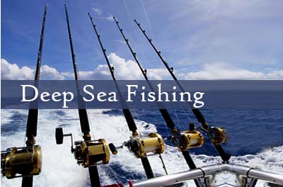 Deep Sea Fishing Q&amp;A – Your Questions Answered