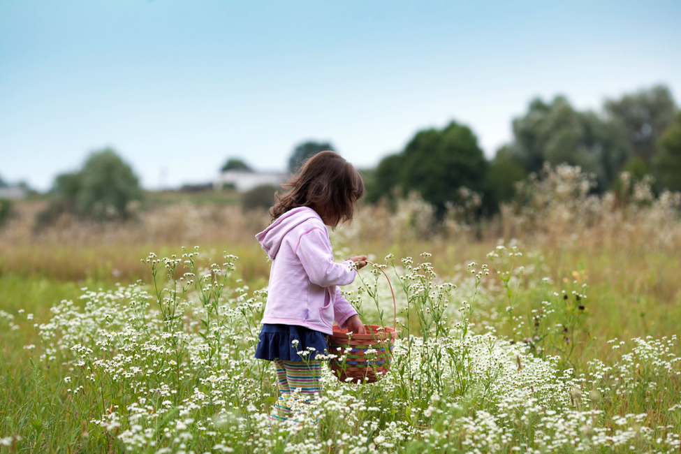 A Brief History Of Mother's Day